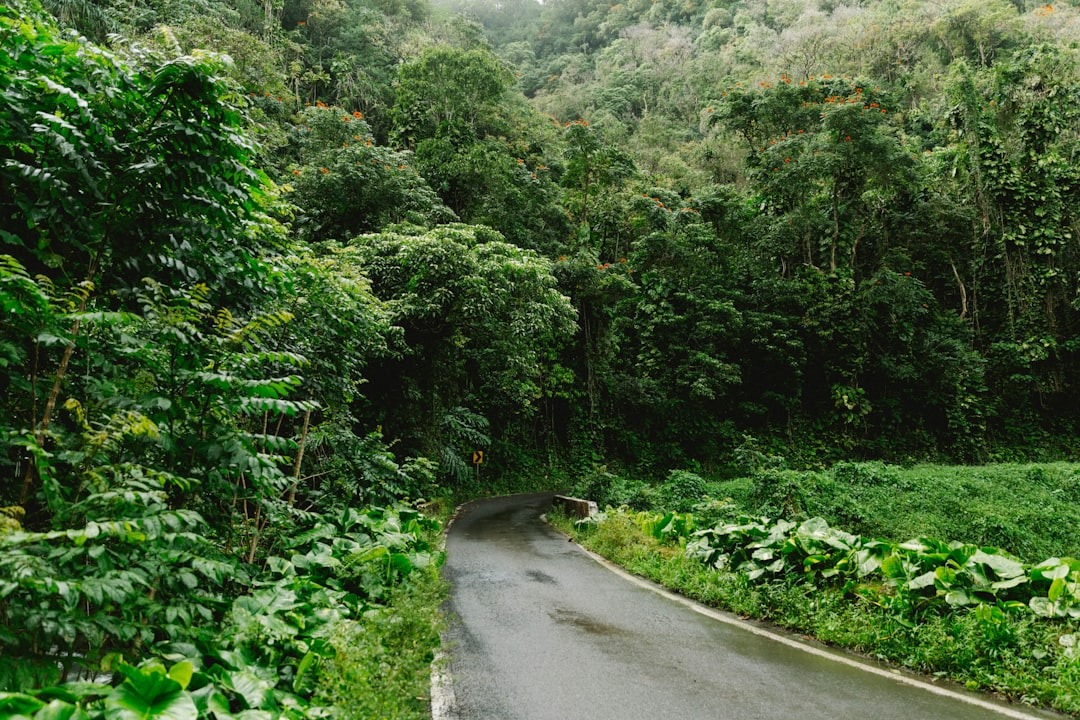 Road To Hana